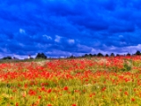 Dybbøl Mølle (HDR Shot)