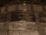 DSC 5639