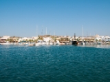 DSC 0139