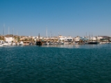 DSC 0140