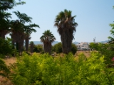 DSC 0148