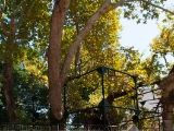 DSC 0154