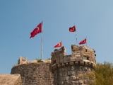 DSC 0198
