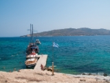 DSC 0252
