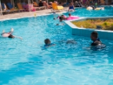 DSC 0431