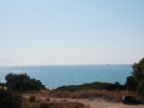 DSC 0464