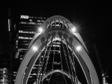 20171117-DSC 3415
