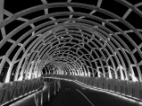 Webb Bridge