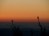 DSC 9409