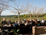 DSC 9549