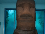 DSC 9425