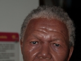DSC 9538