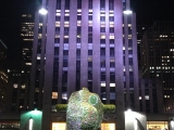 IMG 2255